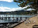 New_Zealand (678)